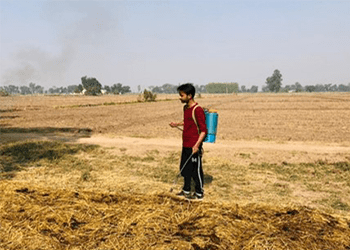 ACT For Environment Grantee: REVY