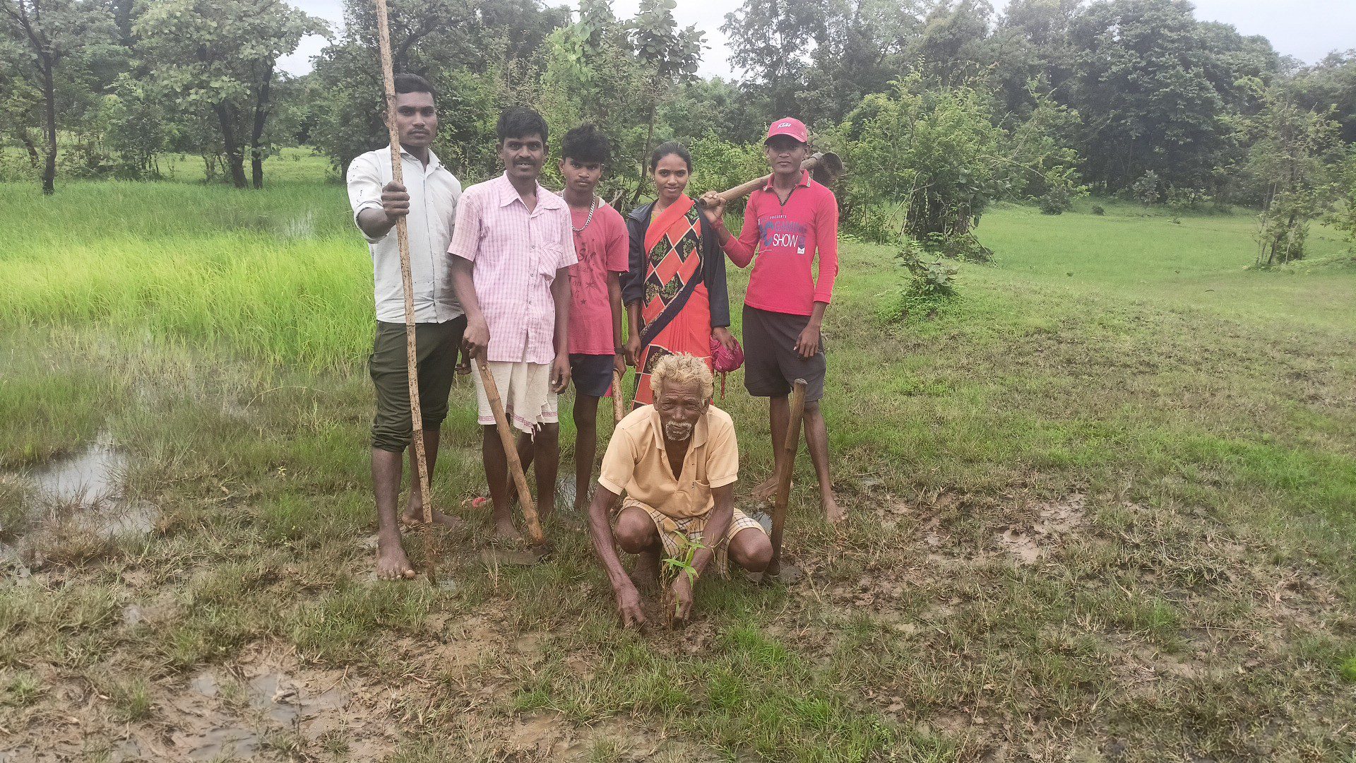 Seeds of Hope: Farmers For Forests transforming lives and livelihoods in rural Maharashtra